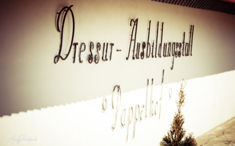 Rheinische Meisterschaften 2019